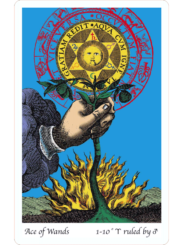 Specialisere dedikation pulver Tarot of the Holy Light - The Fools Dog