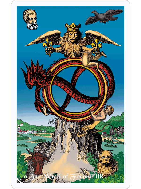 Specialisere dedikation pulver Tarot of the Holy Light - The Fools Dog
