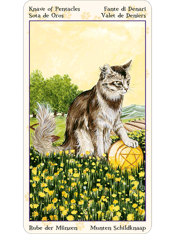 Tarot of Pagan Cats free 12