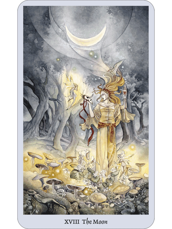 Shadowscapes Tarot Review - Daily Tarot Girl