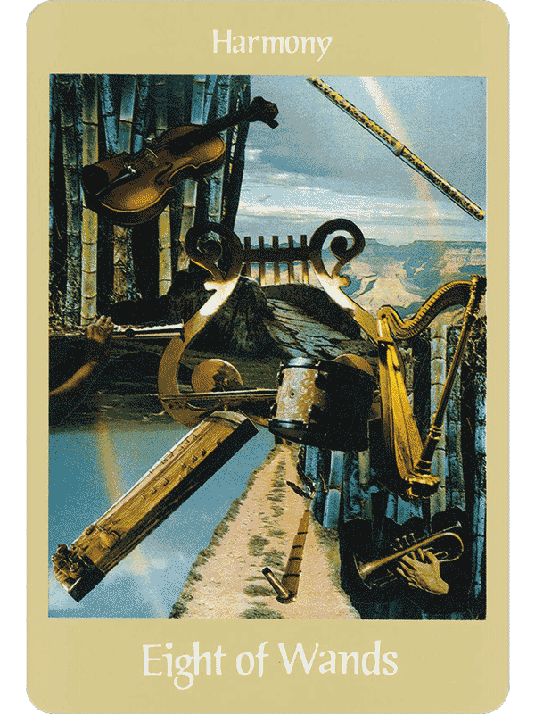 eight of wands,king of swords eight of wands