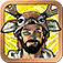 Robin Wood Tarot